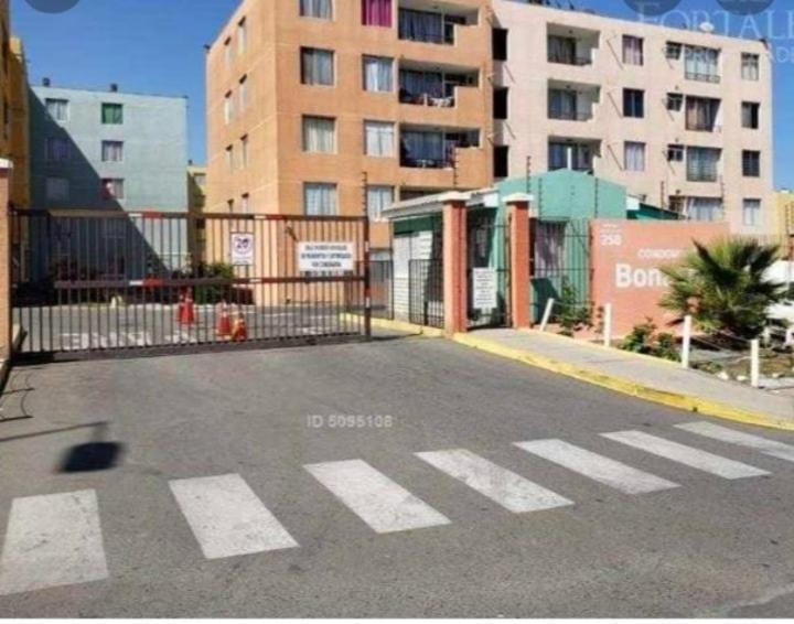 Excelente Departamento A Pasos Del Mar Appartamento La Chimba Esterno foto